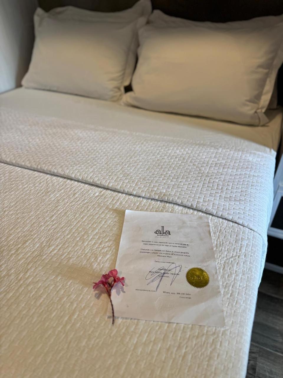 Hotel "Ala Residencias" 切图马尔 外观 照片